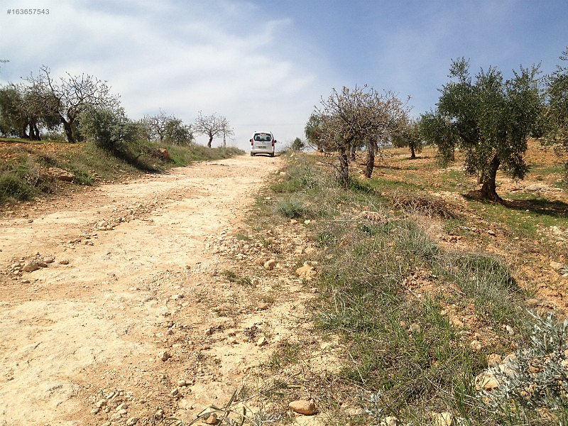 4100m zirve konumlu bahçe