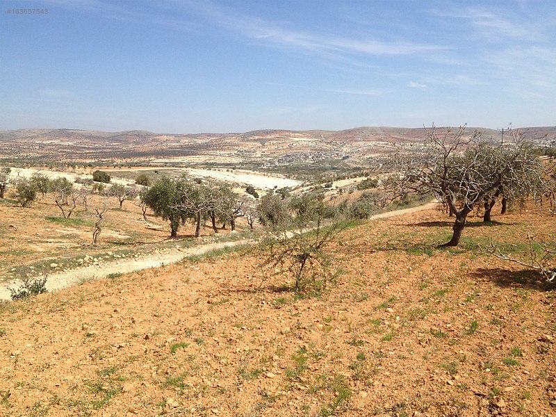 4100m zirve konumlu bahçe