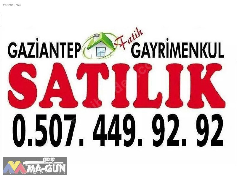 400 Adet FISTIK, AĞAÇLARI BÜYÜK, BAKIMLI, NİZAMİ, BARANLI