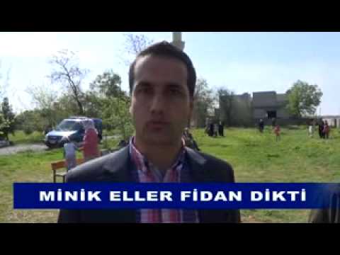 Minik eller fidan dikti