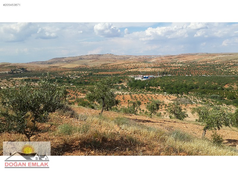 şehitkamil sekilide uygun fiyata arazi