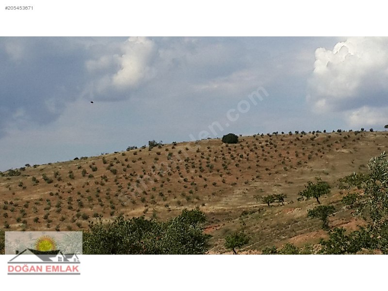 şehitkamil sekilide uygun fiyata arazi
