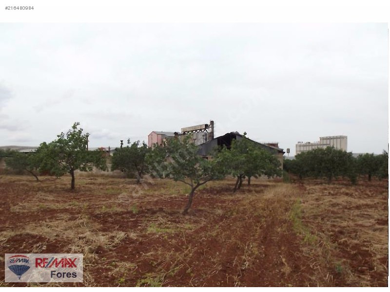 Nizip'te 5.000 m2 sanayi arsasi+8.000 m2 fistik bahçesi