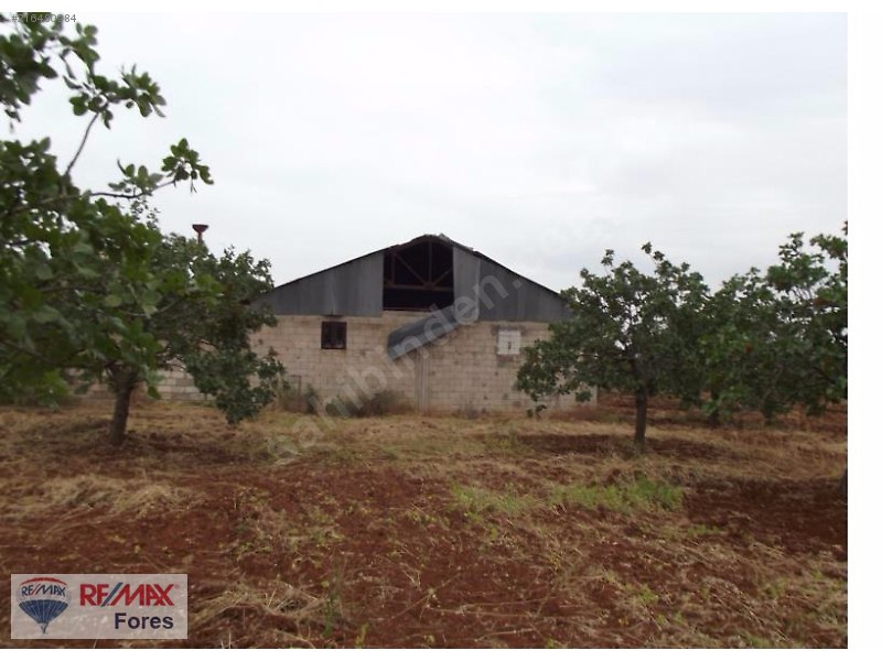 Nizip'te 5.000 m2 sanayi arsasi+8.000 m2 fistik bahçesi