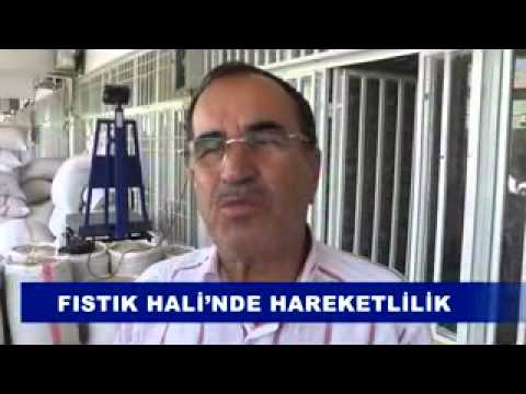 Fistik hali’nde hareketlilik