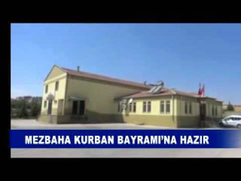 Mezbaha kurban bayrami’na hazir