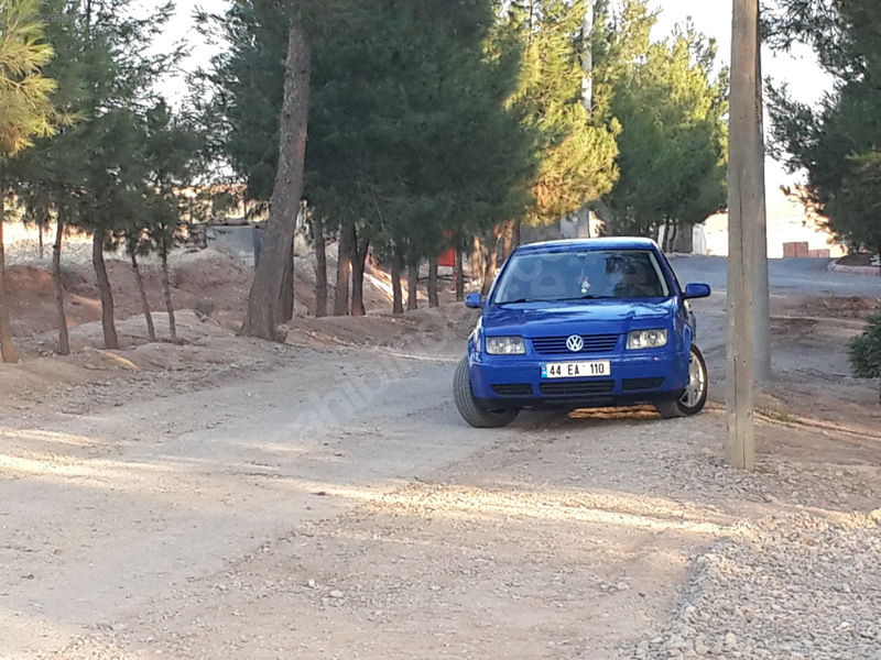 Temiz bora