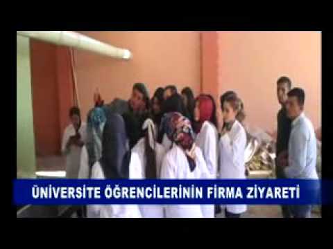 üniversite öğrencilerinin firma ziyareti