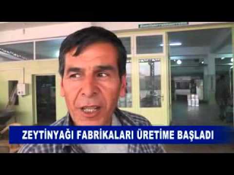 Zeytinyaği fabrikalari üretime başladi