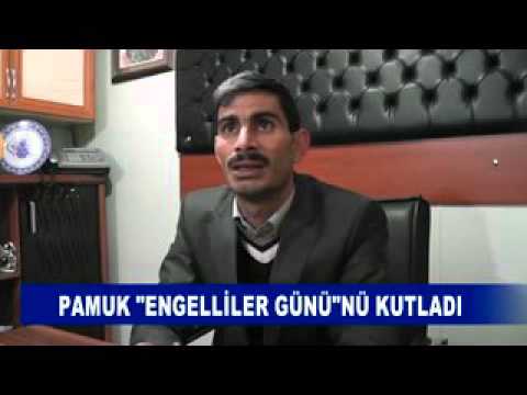 Pamuk engelliler gününü kutladi