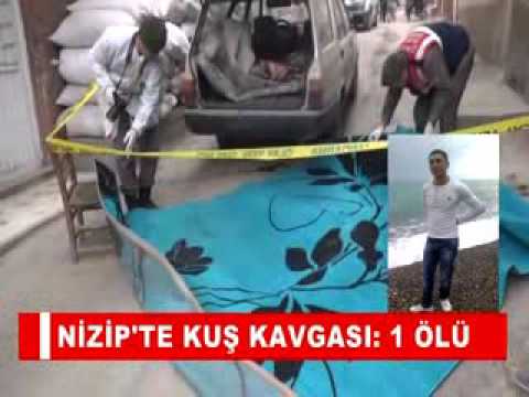 Nizip'te kuş kavgasi 1 ölü