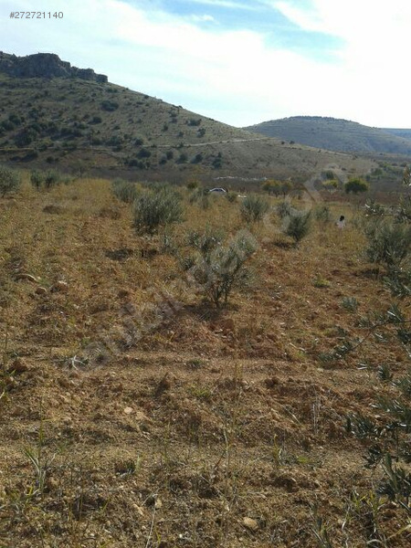 kırmızı toprağım