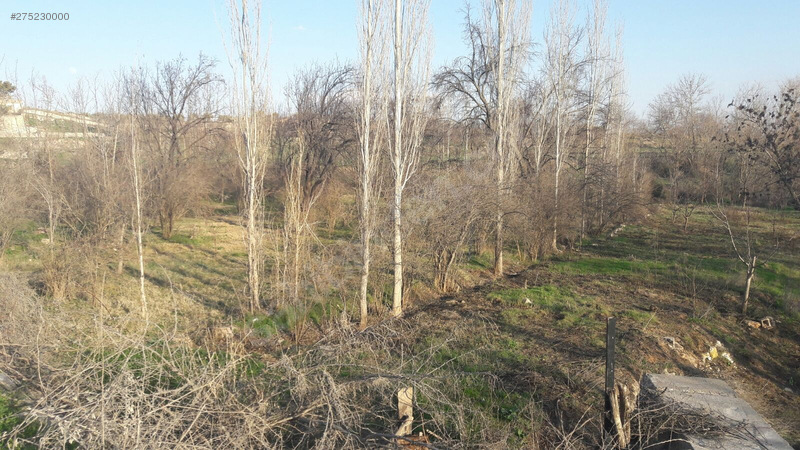 Yola Sıfır Satılık Bahçe