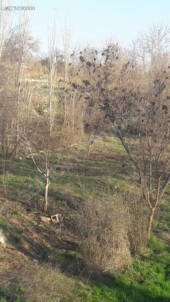 Yola Sıfır Satılık Bahçe