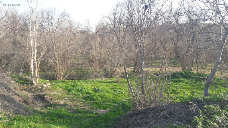 Yola Sıfır Satılık Bahçe