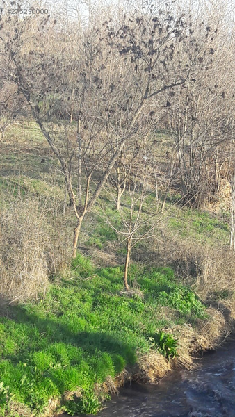 Yola Sıfır Satılık Bahçe