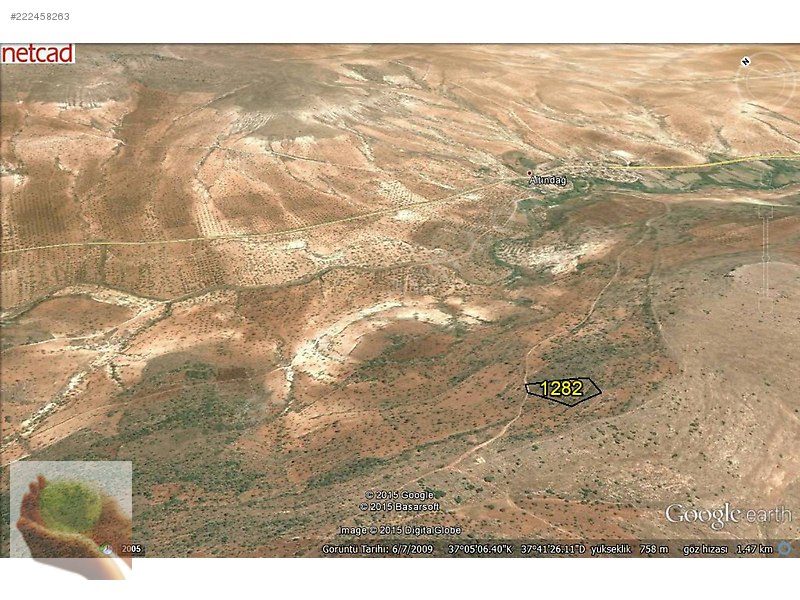 Murat Emlak tan AltınDAĞ Da 5600 mt fıstıklık 160 Ağaç .