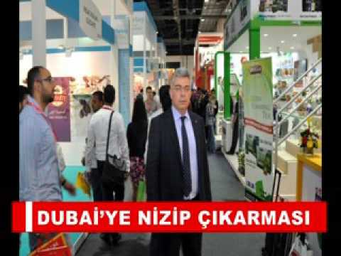 Dubai’ye nizip çikarmasi