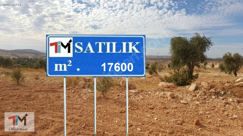 Nizip tilfar köyünde satilik fistiklik zeytinlik arazisi