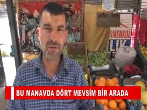 Bu manavda dört mevsim bir arada