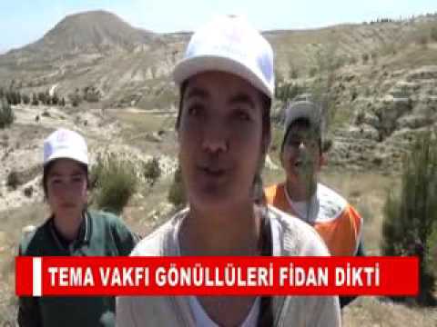 Tema vakfi gönüllüleri fidan dikti
