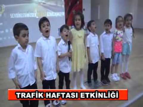 Tarfik haftasi