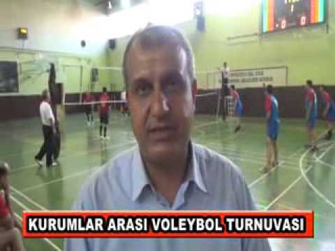 Kurumlar arasi voleybol