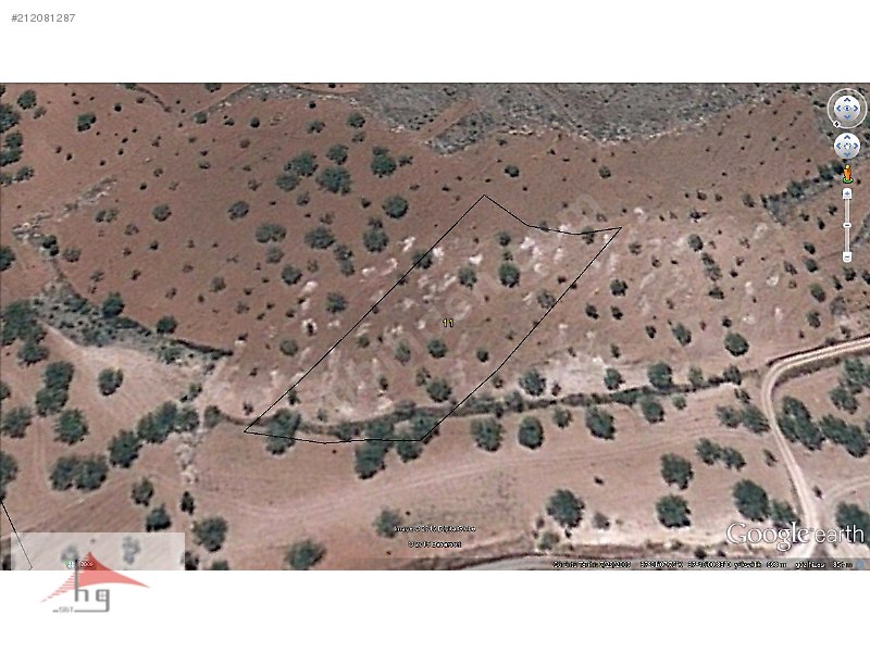 HAKSAL GAYRİMENKUL'DEN NİZİP KOCATEPE'DE 2.950m2 FISTIKLIK