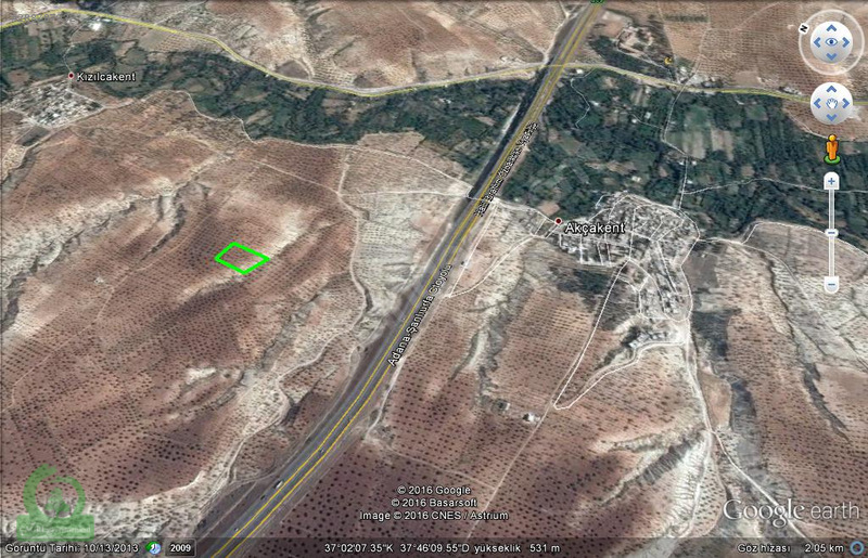 çağrı gayrimenkuldan nizip kızılcakente satılık 5900m2 zeytin