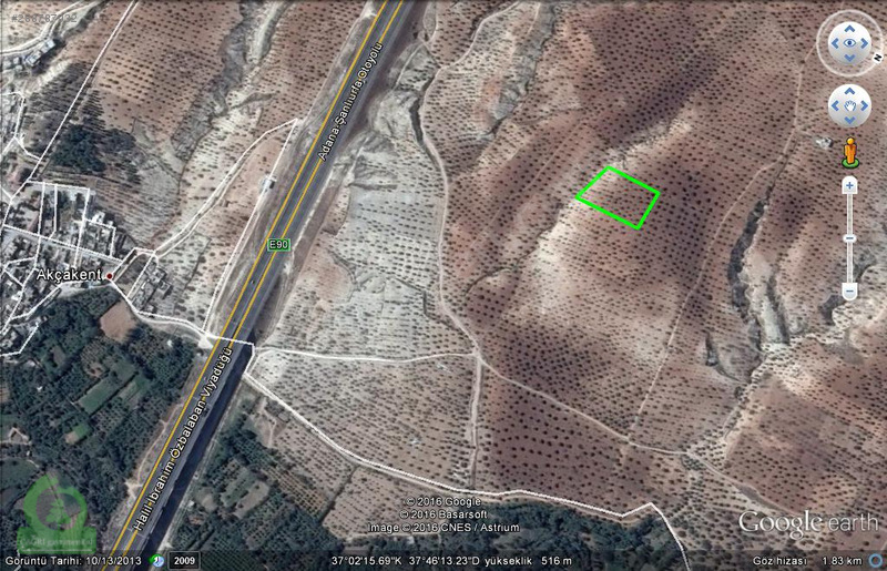 çağrı gayrimenkuldan nizip kızılcakente satılık 5900m2 zeytin