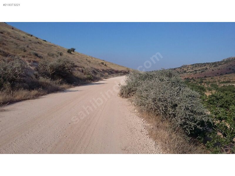 Kocatepede satlik 50 dönüm fistik zeytin