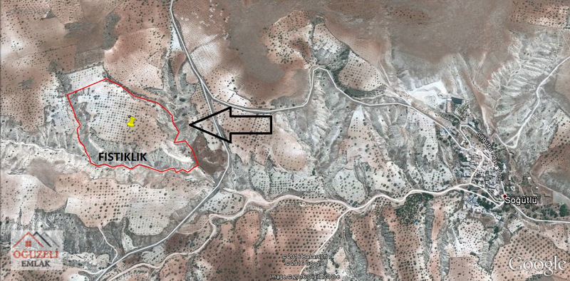 OĞUZELİ EMLAK'tan NİZİP SÖĞÜTLÜ'de SATLIK BÜYÜK FISTIKLIK