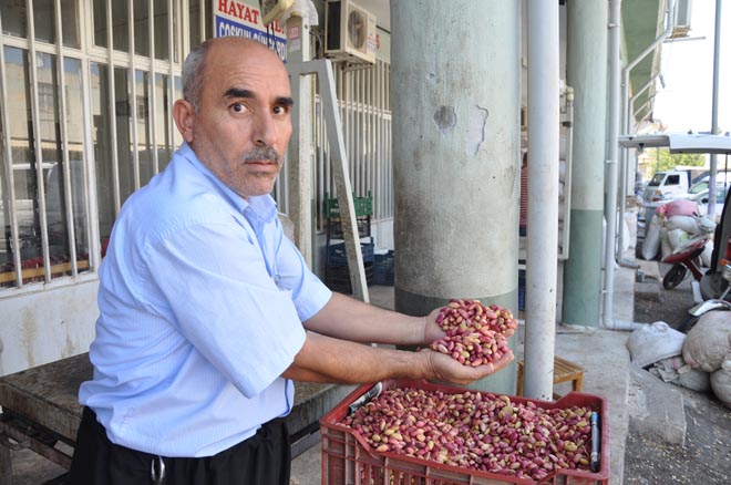 Nizip Fıstık Hali Hareketlendi
