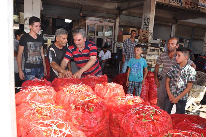 Salçalik biber satişlarinda artiş