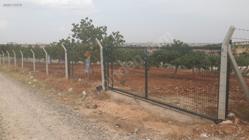 Uygar emlaktan satlik fistiklik 6100 m2