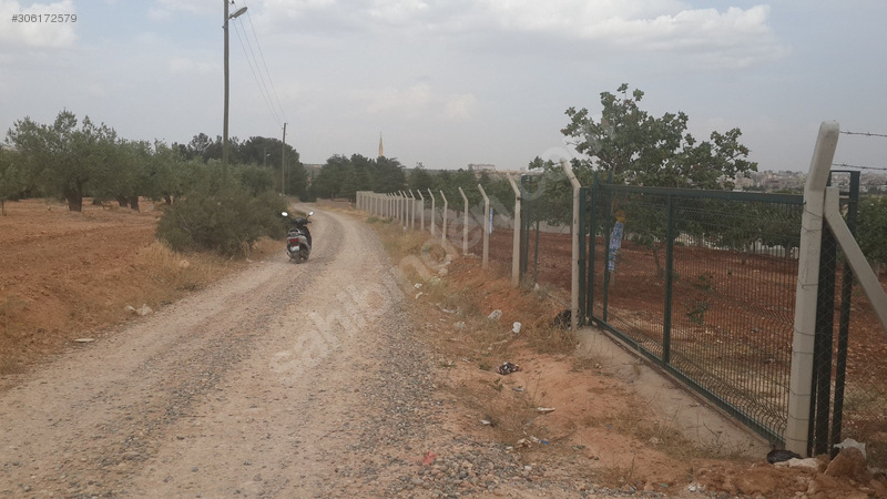 Uygar emlaktan satlik fistiklik 6100 m2