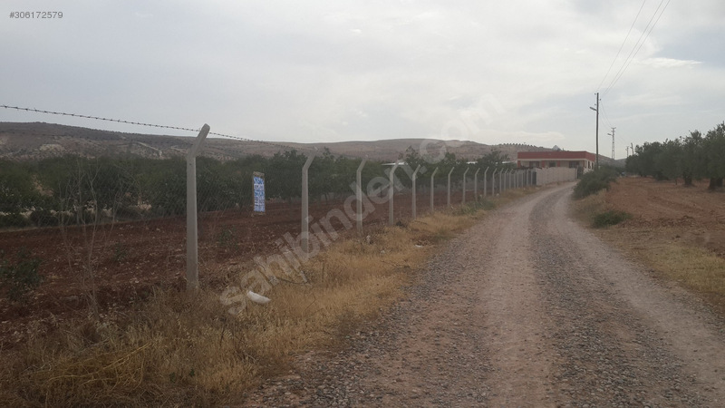 Uygar emlaktan satlik fistiklik 6100 m2