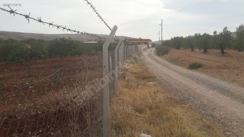 Uygar emlaktan satlik fistiklik 6100 m2