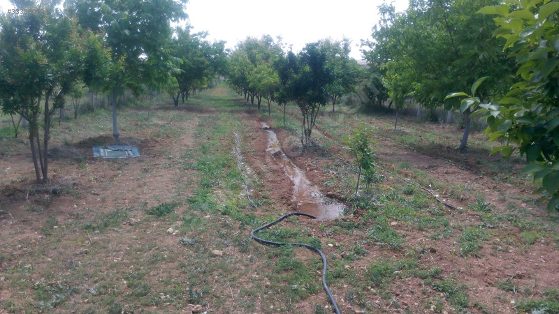 Satılık bahçe