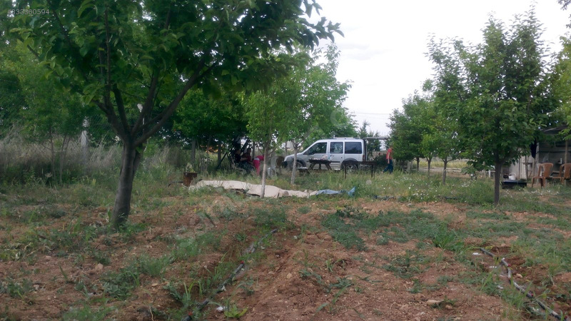Satılık bahçe