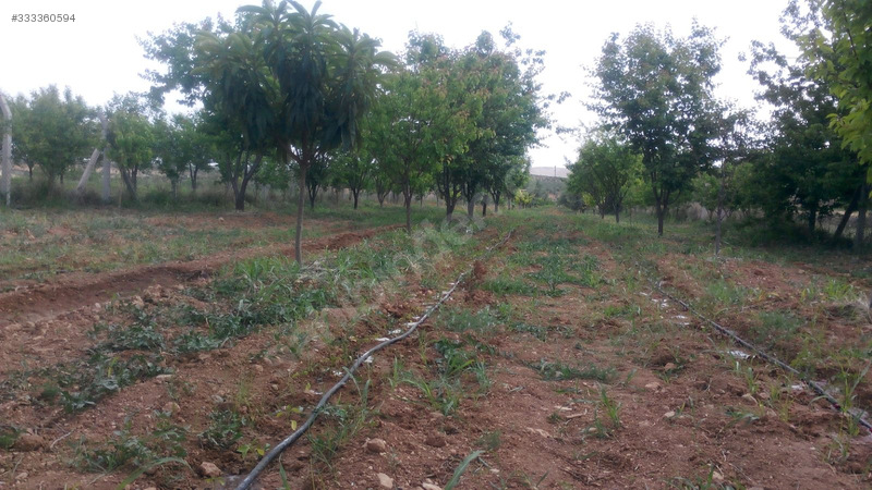 Satılık bahçe