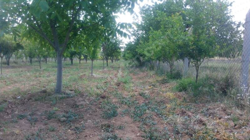 Satılık bahçe