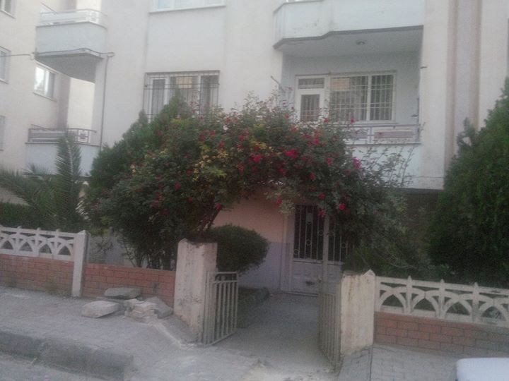 Nizip Menderes mah. esenkentte eski antepyolu cepheli daire