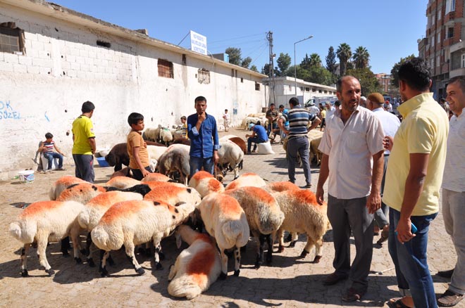 Kurban satişlari hizlandi