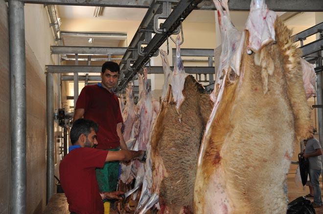 Nizip mezbahasi nda kurban kesim telaşi