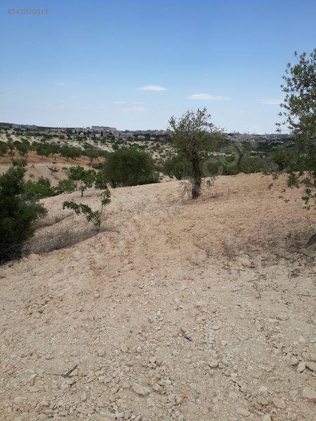 nizip karşıyaka mahallesinde imara 600 metre yakın arazi