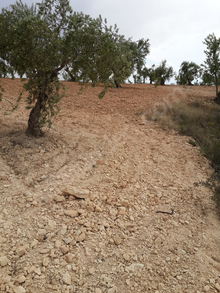 nizip karşıyaka mahallesinde imara 600 metre yakın arazi