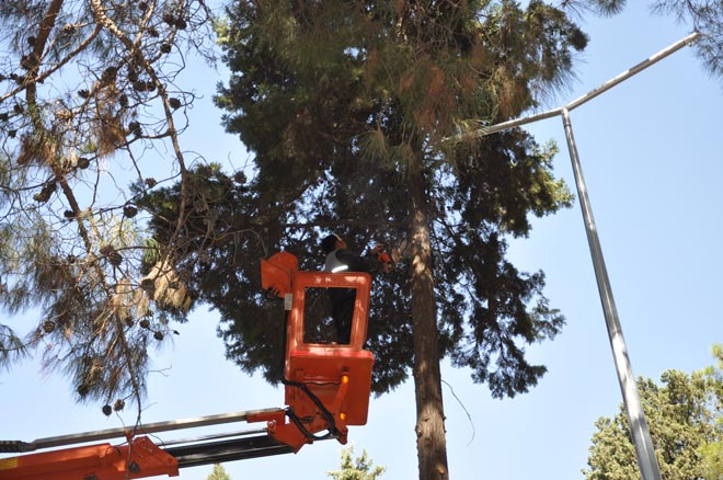 Parklarda sonbahar temizliği