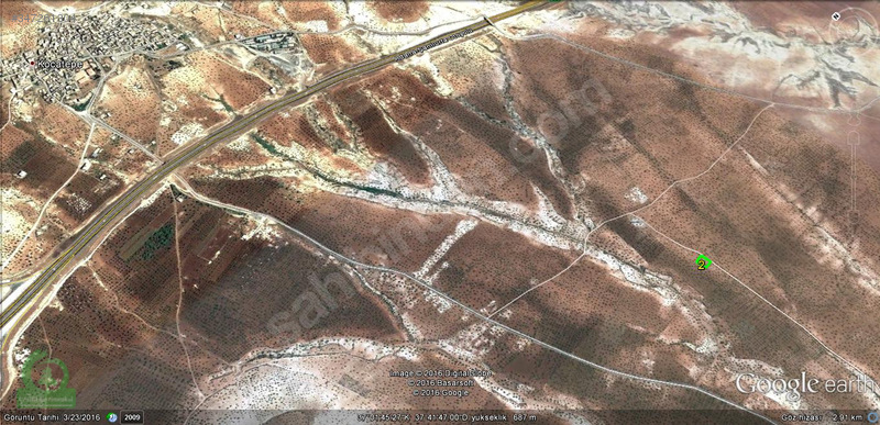 çağrı gayrımekuldan nizip kocatepede satılık 1200m2 zeytin 35.00