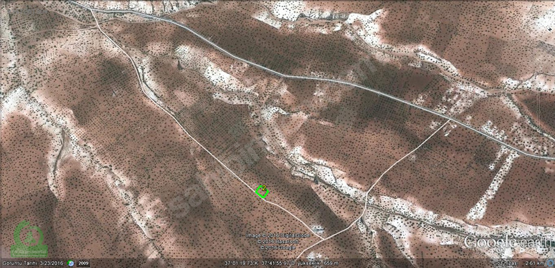 çağrı gayrımekuldan nizip kocatepede satılık 1200m2 zeytin 35.00